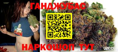 мдпв Камышлов