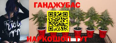 ПСИЛОЦИБИНОВЫЕ ГРИБЫ Кандалакша