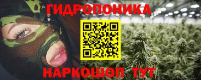 мдпв Камышлов