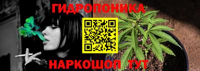 ПСИЛОЦИБИНОВЫЕ ГРИБЫ Кандалакша