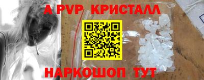 мдпв Камышлов