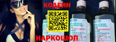 мдпв Камышлов