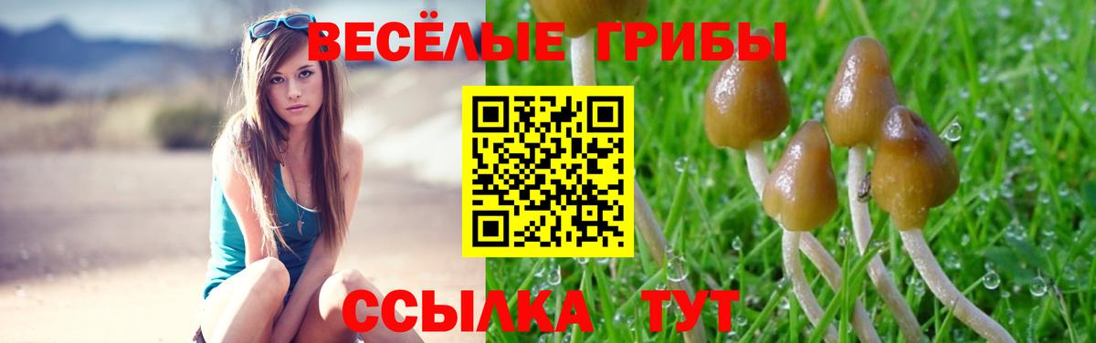 Псилоцибиновые грибы мицелий Лениногорск